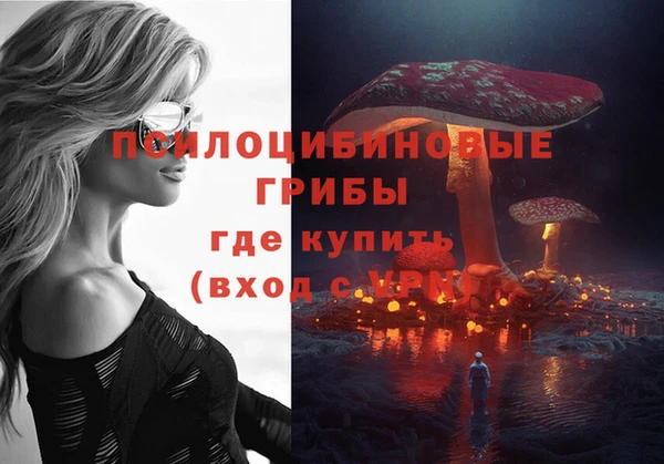 ECSTASY Балабаново