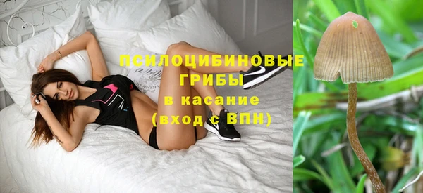 ECSTASY Балабаново